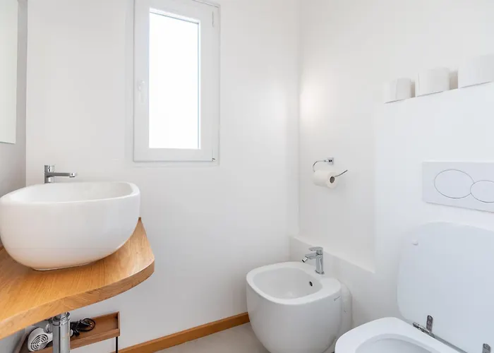 Among The Roofs Of Parma! *